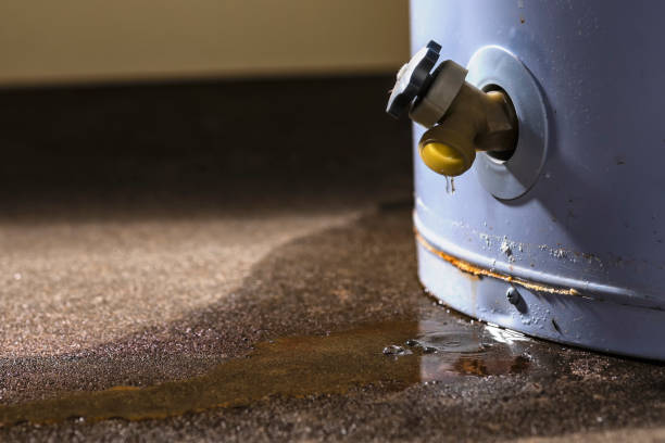 Best Mold removal after water damage  in Kean University, NJ