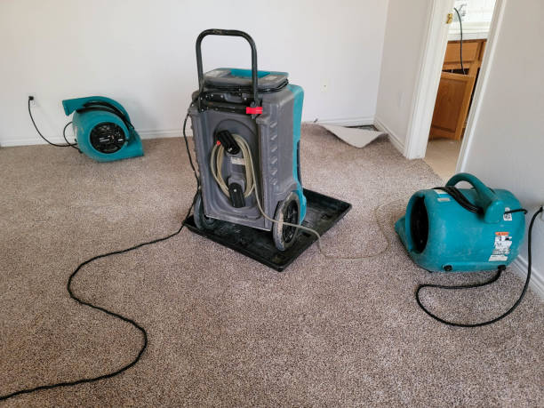 Best Ceiling water damage repair  in Kean University, NJ