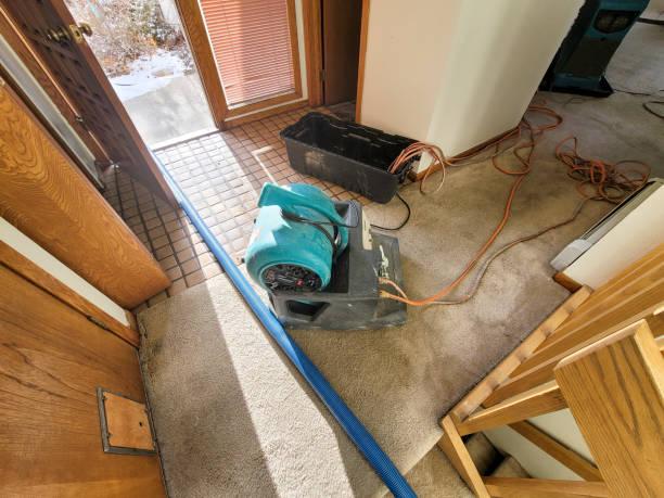 Best Commercial water damage restoration  in Kean University, NJ