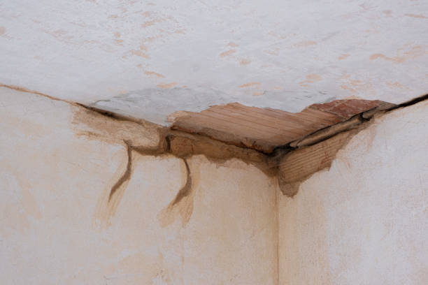 Best Water damage cleanup near me  in Kean University, NJ