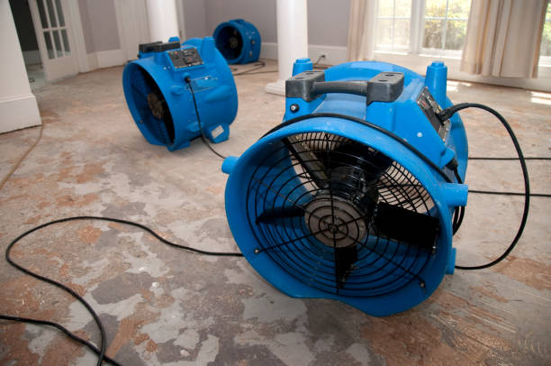 Best Basement water damage restoration  in Kean University, NJ