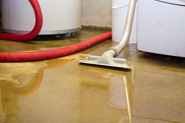 Best Water damage contractors near me  in Kean University, NJ
