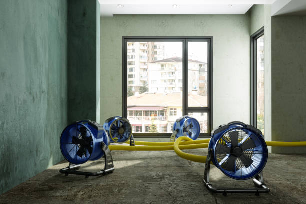 Best Flood restoration services  in Kean University, NJ